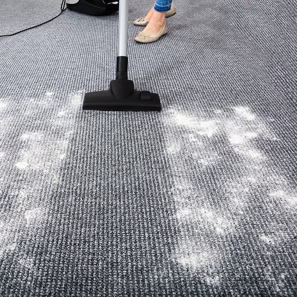 Vacuum Cleaner Cleaning Carpet | The Design House