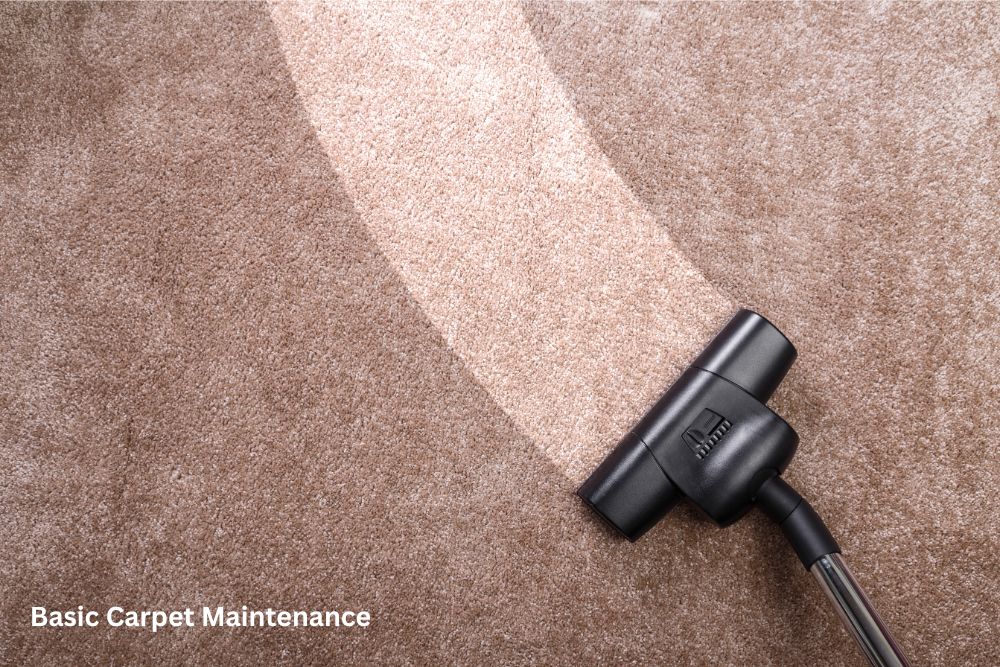 Carpet floor cleaning | The Design House