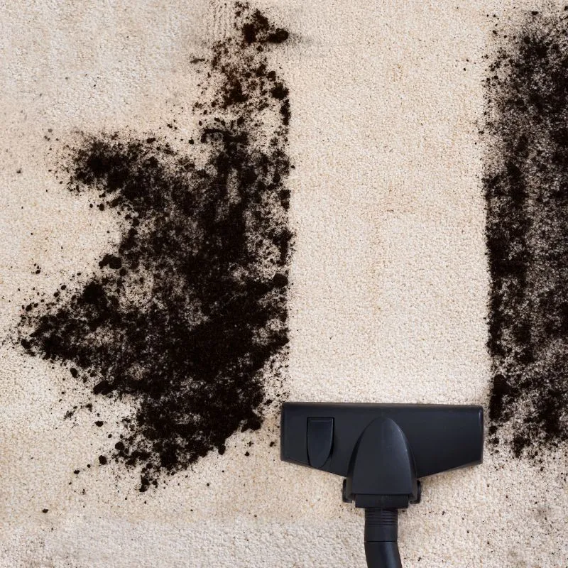 AreaRugDryStain Rug care | The Design House