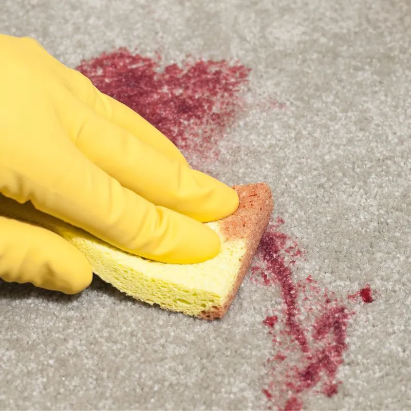 AreaRugs-ToughStains Area rug care | The Design House