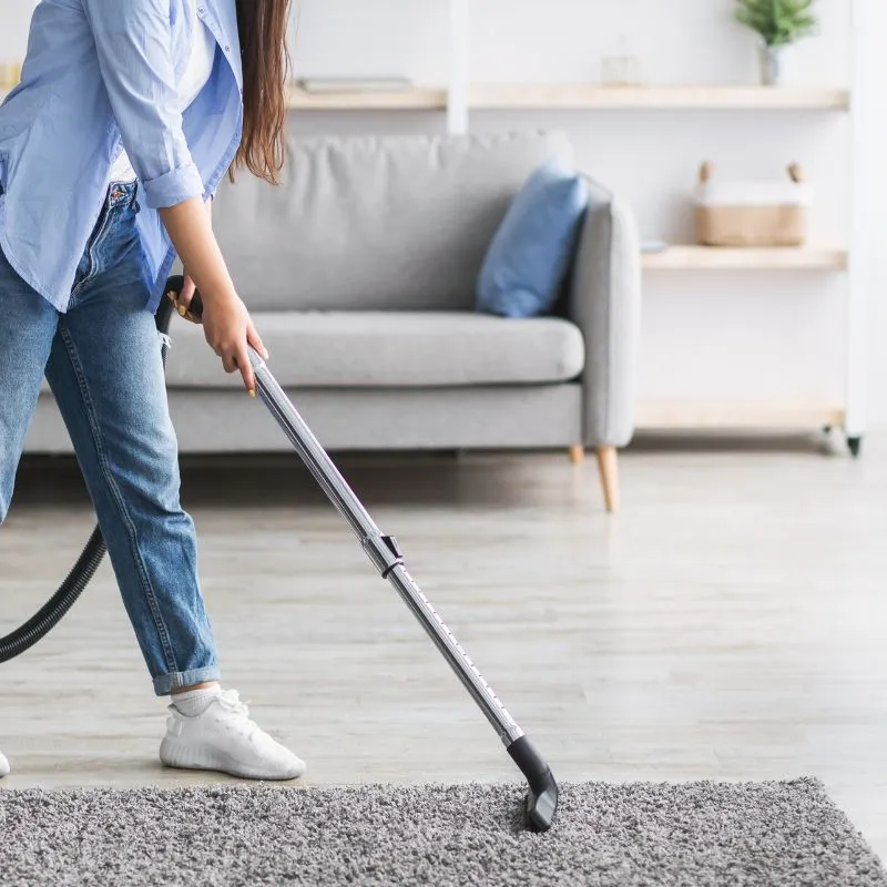 AreaRugsBonus Rug care | The Design House