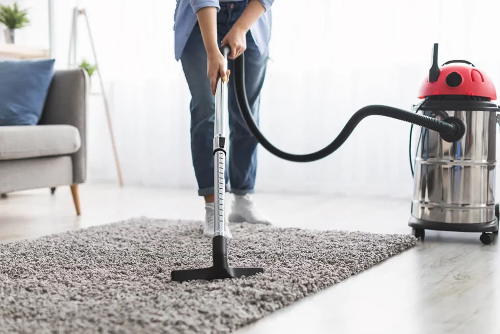 RugCare-1 Rug care | The Design House