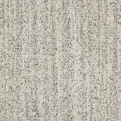 Carpet | The Design House