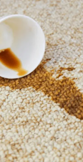 Carpet stain | The Design House