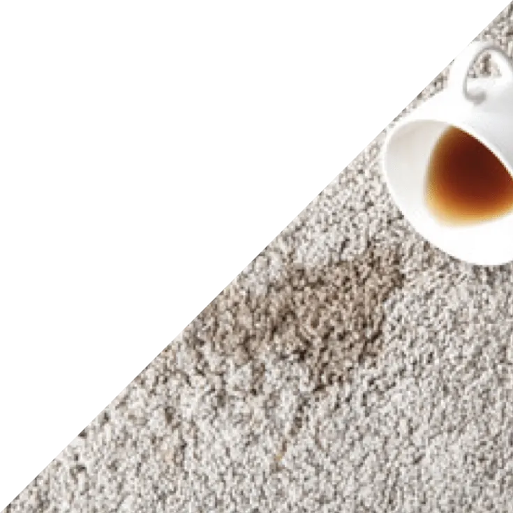 carpet_cm Carpet stain | The Design House