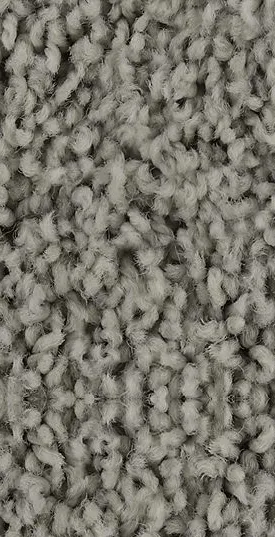 Carpet | The Design House