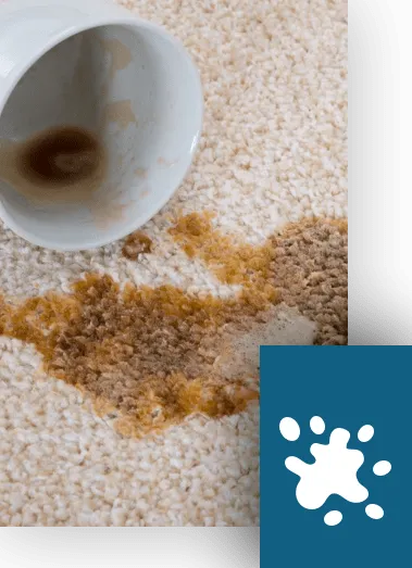 carpetTough Carpet spill | The Design House