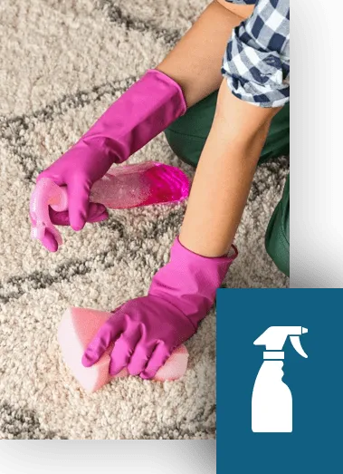 arpetBonus Carpet care | The Design House