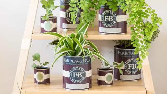 ingredients Paint cans reuse | The Design House