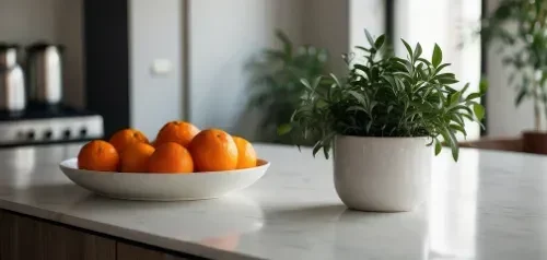 Countertop Replacement & Installation at The Design House