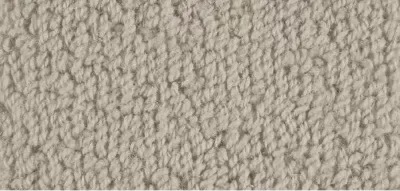 Carpet swatch 6