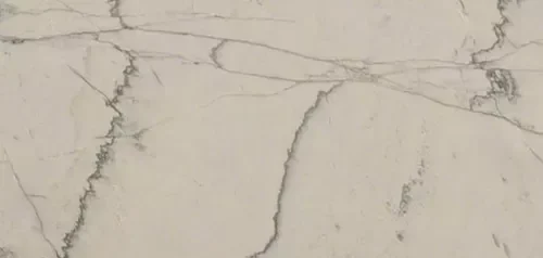 Beige with dark veins patterned quartzite countertop