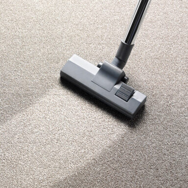 Carpet cleaning | The Design House